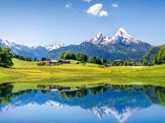 -深巷家味馆.湖北头牌红烧鱼头拌饭(黄陂店)