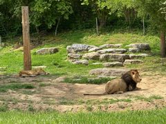 -北京野生动物园