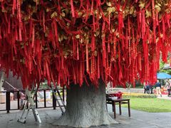 -狼山风景名胜区
