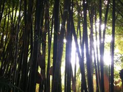 -马洛雷勒花园
