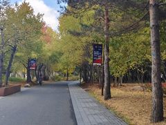 -孙家外婆•长春地标美食新名片(红旗街万达店)