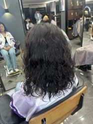 点击看大图 -藤野造型