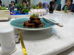 -丁老爷子苏香圆