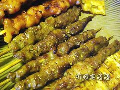 要的是羊肉肉筋，可是我感觉都是肉串-串来串去(中关村店)
