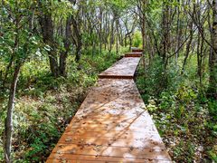 -白草畔自然风景区