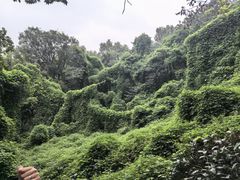 -南京市江宁方山