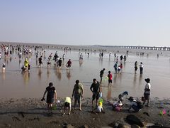 -南汇新城海滩