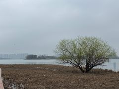 -长广溪湿地公园