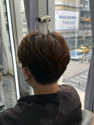 -藤野造型烫染接发
