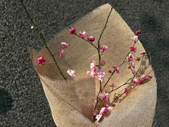 -红花山公园
