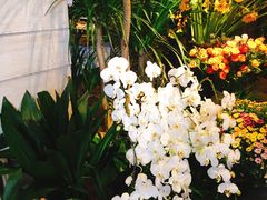 -春暖花开(西溪店)