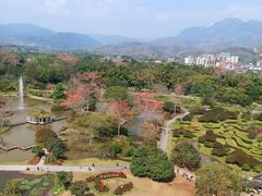 -中国科学院西双版纳热带植物园