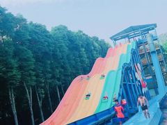 -重庆海昌加勒比海水世界