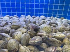 -必点蒸汽海鲜(止锚湾店)