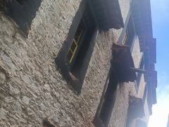 -古树酸奶(八廓南街店)