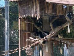 -上海野生动物园