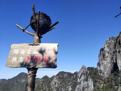 -秦胖子肉陀良心店