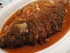 -阿五黄河大鲤鱼(海尚店)