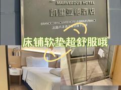 -凯里亚德酒店(深圳北站大浪商业中心店)