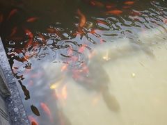 -龙游石窟
