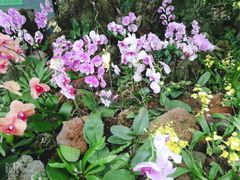 -南山植物园