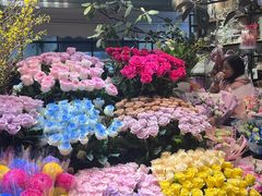 -越秀西湖花市(广州城市广场花卉店)