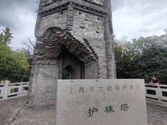 -上海佘山国家森林公园天马山园