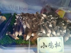 -七采菌园·石锅鱼野生菌火锅(环城北路店)