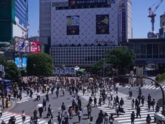-涩谷全向十字路口