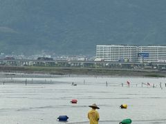 -北岐滩涂