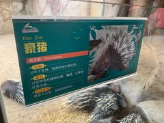 -杭州野生动物世界