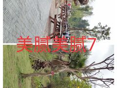 -枫香湖儿童公园