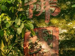 -福建泉州仙公山风景名胜区