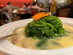 上汤花菇煮苋菜-京华烟云·北京烤鸭(领展购物广场·中关村店)