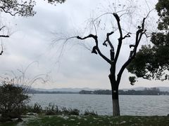 -浙江西子宾馆·瑶园咖啡厅