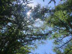 -大连步云山老汤度假山庄