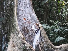 -中国科学院西双版纳热带植物园
