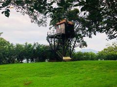 -福建鲤鱼洲酒店