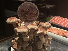 -捞王锅物料理(金华义乌之心店)
