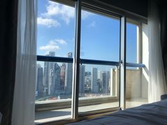 -新加坡瑞士史丹福酒店