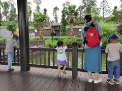 -枫香湖儿童公园