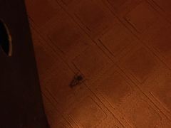 维也纳国际酒店(深圳新洲店)-维也纳国际酒店(深圳新洲店)