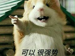 -海马体照相馆(大连罗斯福广场店)