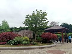 -嘉定紫藤园