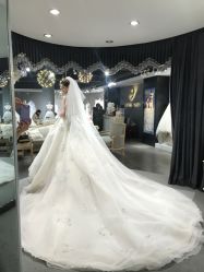 -艾米丽婚纱礼服