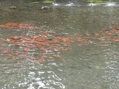 -水磨沟公园