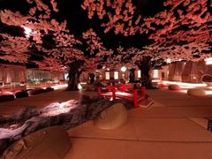 -蓝鲸湾汤泉(包河店)