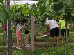 -美家乐农庄·露营·团建(大治路店)