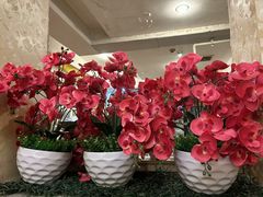 -大众美蛙鱼头(民心佳园总店)