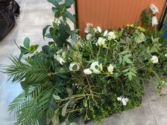 -海马体照相馆(新南凯德广场店)
